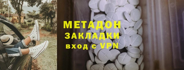 прущие грибы Алексеевка