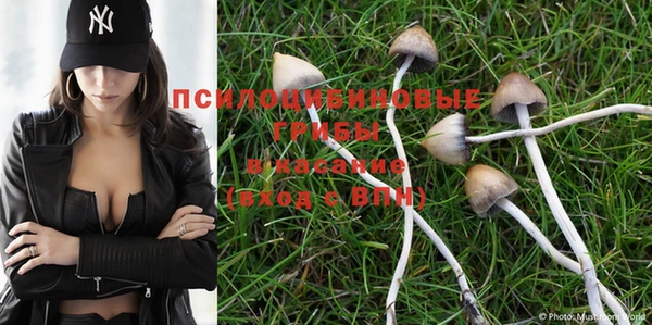 PSILOCYBIN Алексин