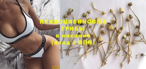 PSILOCYBIN Алексин