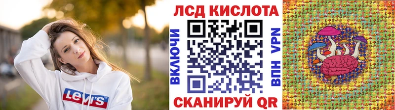 Марки N-bome 1,8мг  мега как войти  Топки 
